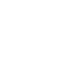 Icon-1