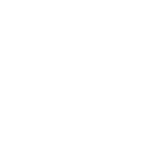 Icon-2